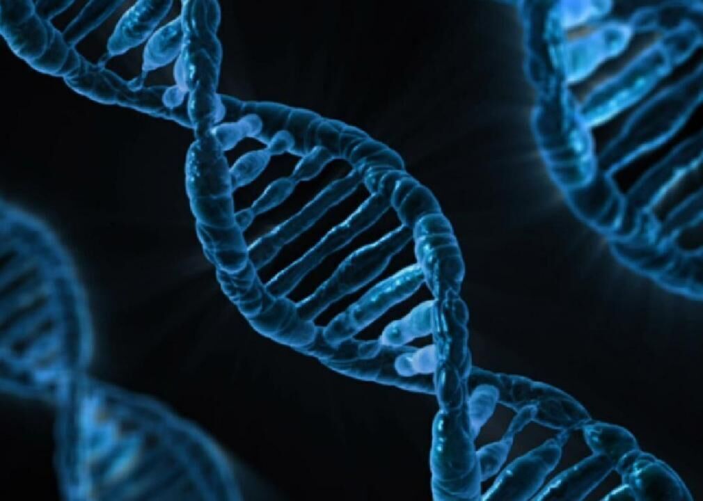 1978: Agritourism, gene-splicing